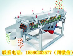 湖南王總需要的DZSF直線(xiàn)振動(dòng)篩今天發(fā)貨！